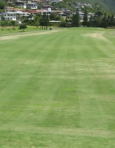 moanalua golf club 12