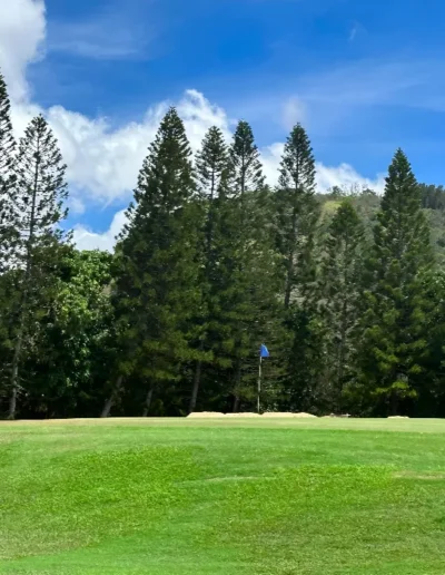 moanalua golf club 16