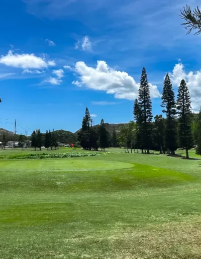 moanalua golf club 17